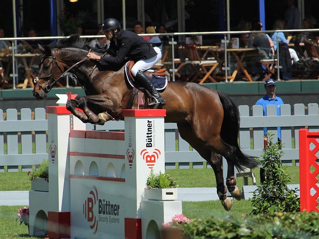 回应的效率 回应的效率