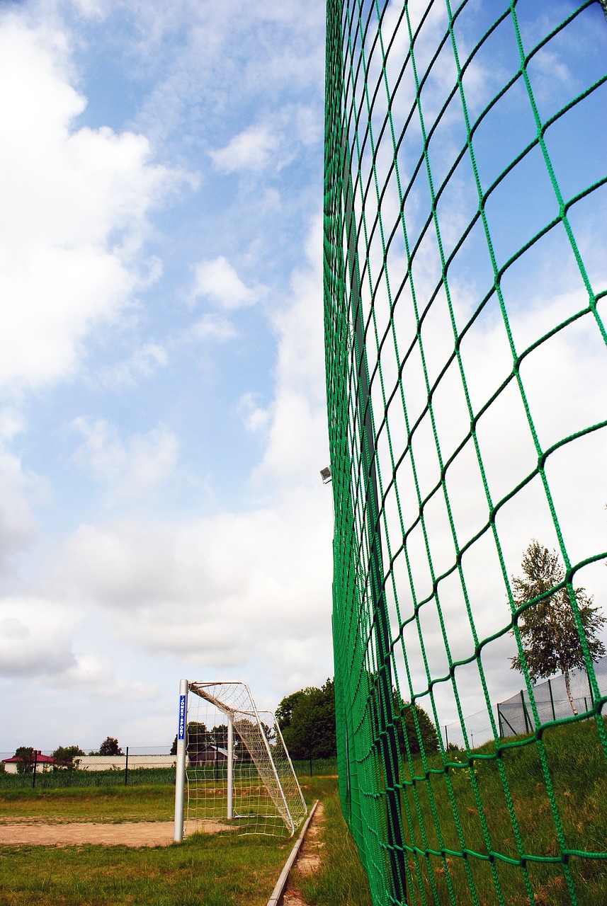 反而成为了 反而成为了