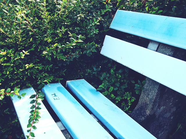 的文化遗产 的文化遗产