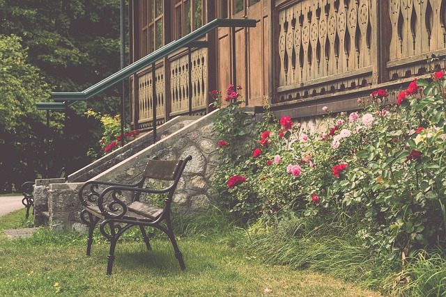 案例分析 案例分析