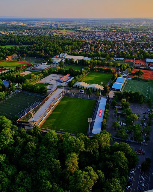 韧性奉献了 韧性奉献了