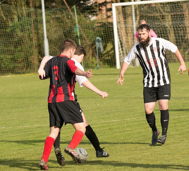 案例无疑为 案例无疑为