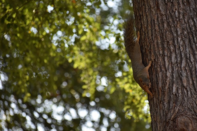 还需要有精 还需要有精